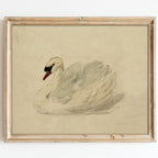 Classical Swan Canvas Wall Art | Vintage Watercolor Print