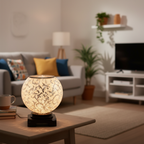 Budget Home Scene