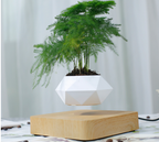 Magnetic Levitation Floating Flower Pot