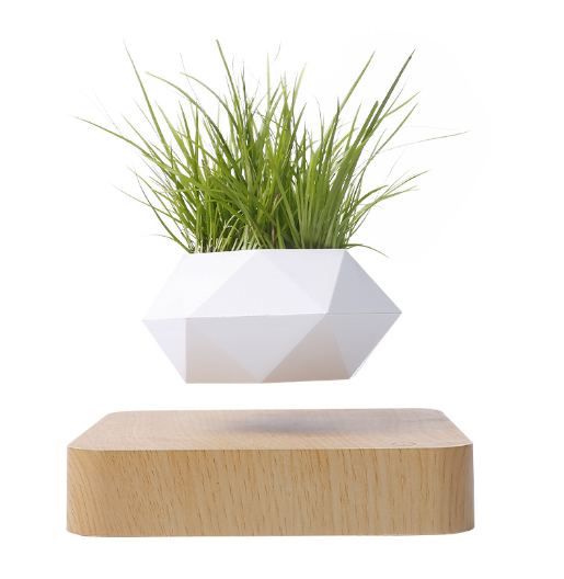 Magnetic Levitation Floating Flower Pot