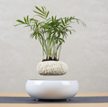 Magnetic Levitation Floating Flower Pot