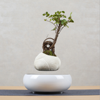 Magnetic Levitation Floating Flower Pot