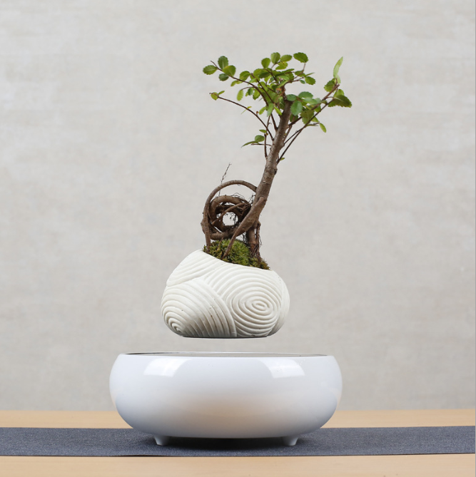 Magnetic Levitation Floating Flower Pot
